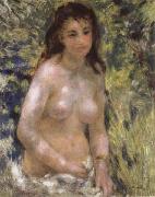 Nude in the Sunlight Pierre-Auguste Renoir
